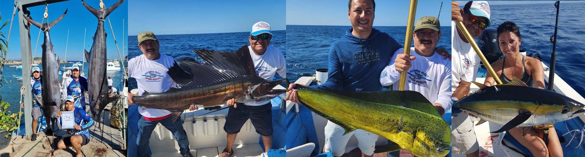 PESCA DEPORTIVA EN ALTAMAR Escualo Sport Fishing Mazatlán